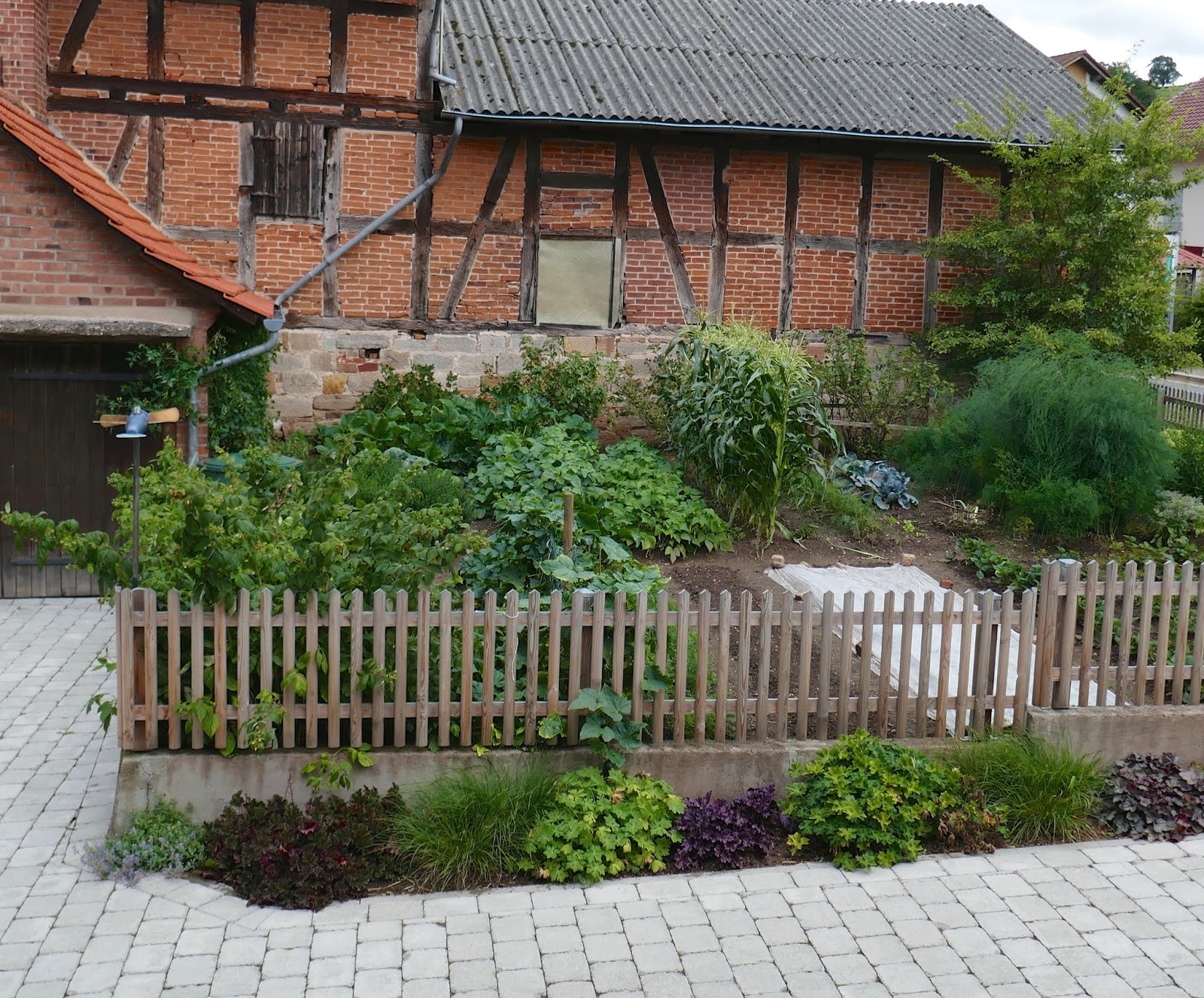 Schmiedegarten Ausreisser Und Einwanderer