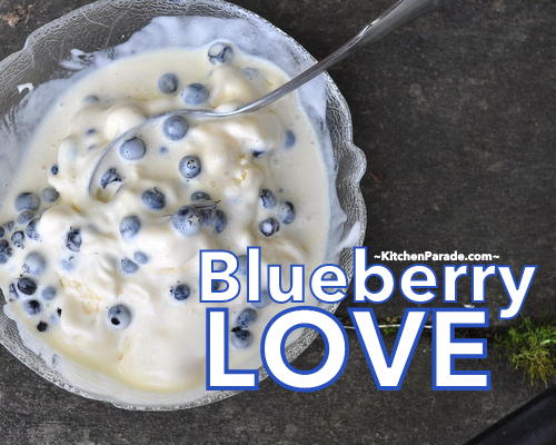 Swoon, hand-picked wild blueberries with vanilla ice cream ♥ KitchenParade.com