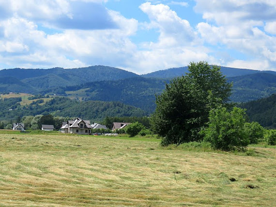 Łaki laki