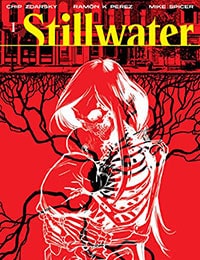 Read Stillwater by Zdarsky & Pérez online