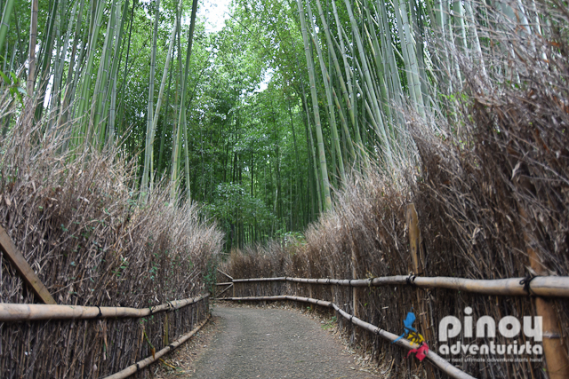 Kyoto Tourist Spots Arashiyama Bamboo Grove