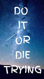Do it or Die Trying Do it or Die Trying