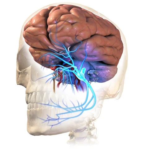 Asuhan Keperawatan Pada Pasien dengan Neuralgia Trigeminal - Intervensi