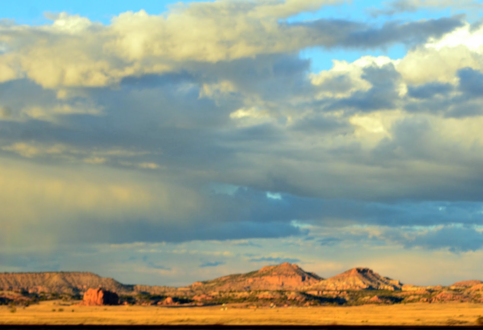 Mille Fiori Favoriti New Mexicothe Land of Enchantment