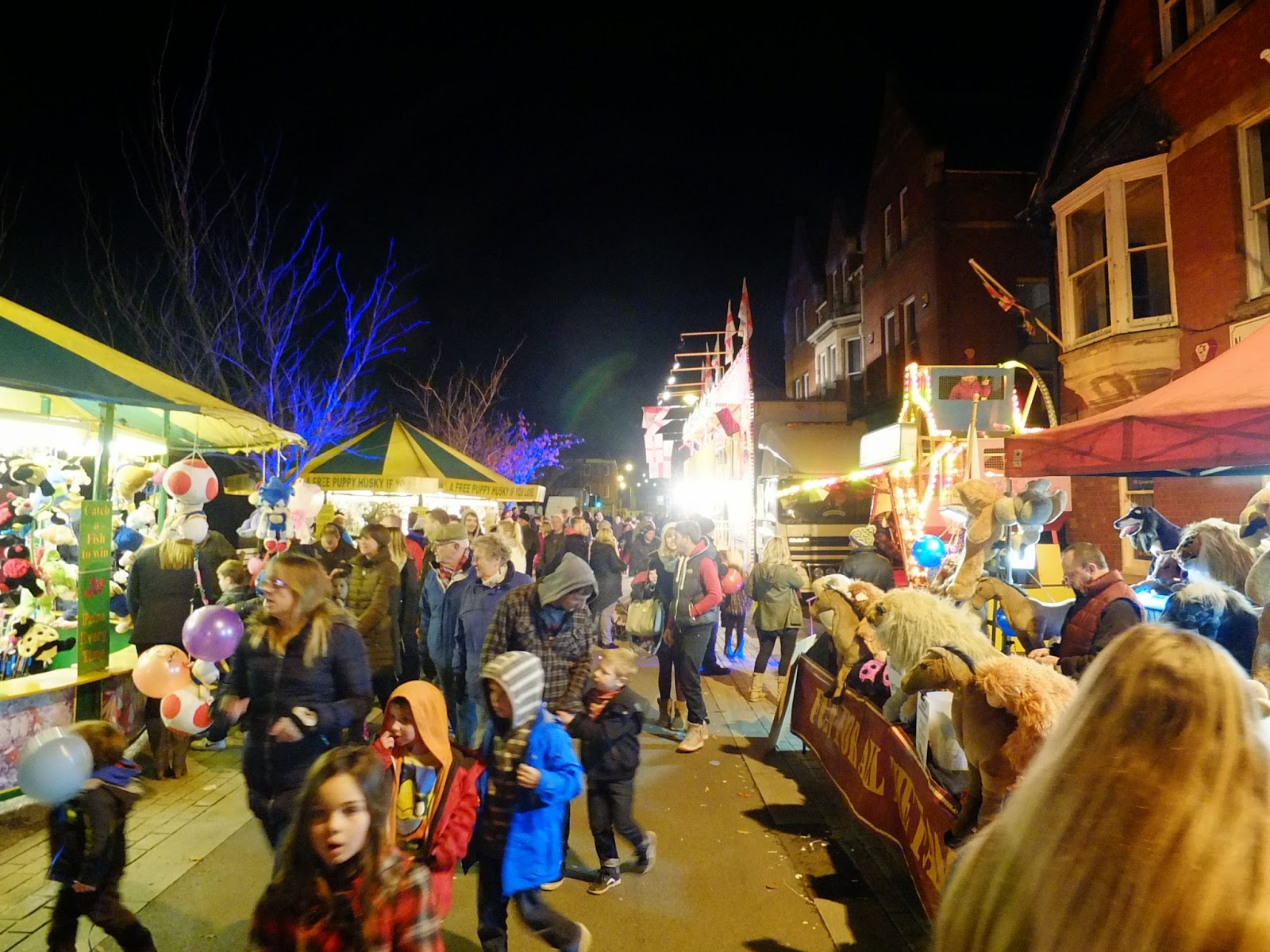 North Devon Yearbook Barnstaple Christmas Lights Event
