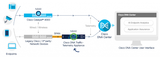 Introducing the Cisco DNA Traffic Telemetry Appliance Cisco DNA, Cisco Tutorial and Material, Cisco Learning, Cisco Career, Cisco Preparation