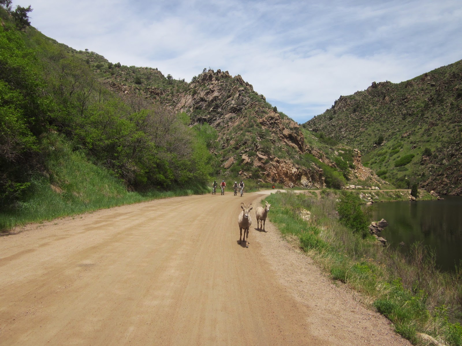 Helgeson's Hikes: Waterton Canyon - Littleton, Colorado
