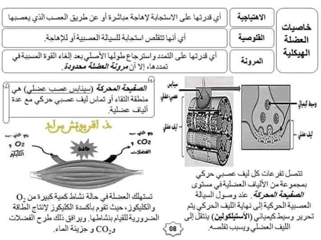 ملخصات دروس مادة علوم الحياة والارض للسنة الثالثة اعدادي.