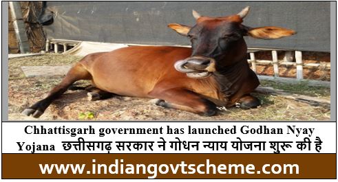 Godhan Nyay Yojana