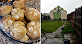 Home made bread rolls and my back garden in the rain