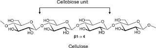 molecular structure of cellulose