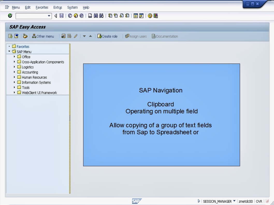 青蛙SAP分享 Froggy's SAP sharing N20 Clipboard Operating Multiple Fields