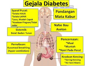 Jual ALGA GOLD CEREAL Obat Herbal Diabetes Ampuh Di Tana Toraja | WA : 0822-3442-9202