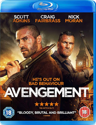 Avengement (2019) [Dual Audio] 720p | 480p BluRay ESub x264 [Hindi 5.1ch – Eng] 800Mb | 300Mb
