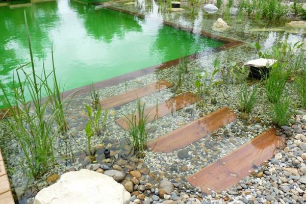 piscinas naturales biológicas ecológicas