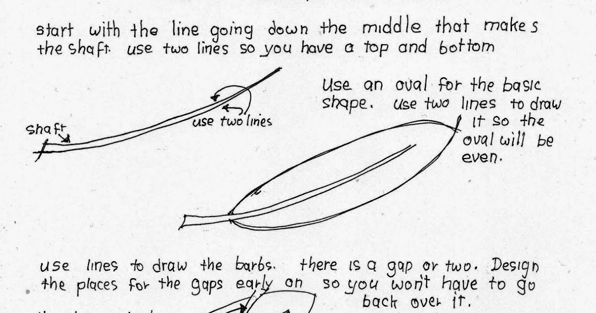 How to Draw Worksheets for The Young Artist: How To Draw A Feather