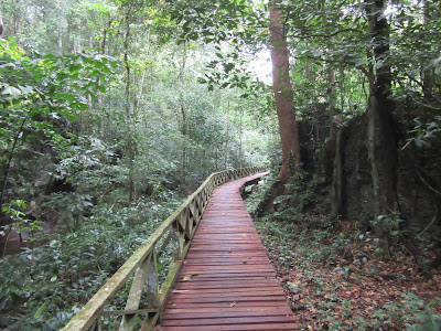 Taman Niah, cerca de Miri