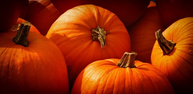 Pumpkin: Nutrition and Health Benefits    