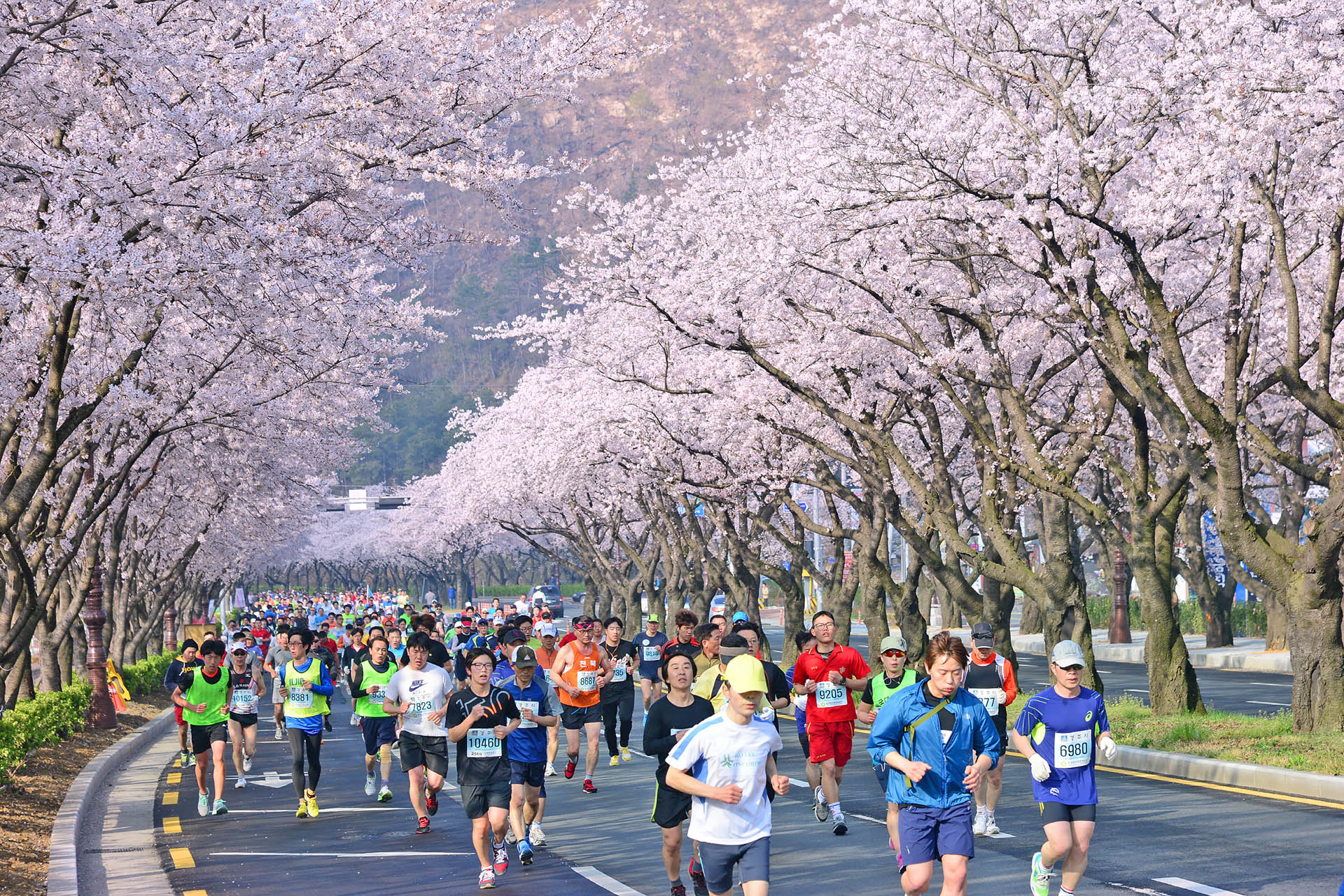 Sugoi Days: 5 Iconic Marathons in South Korea to Start Planning Your Sugoi Days: 5 Iconic Marathons in South Korea to Start Planning Your