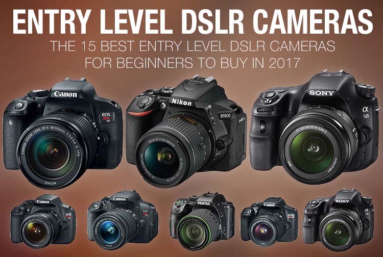 Rasha Design An Idea For Graphic And Web Designing Tips And Tricks For The Technology The Best Entry Level Dslr Cameras For Beginners