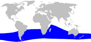 Gray gagalı balinasının dağılım haritası