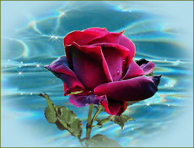 ☆♥ Vives En Cada Latido De Mi Corazón ☆♥ Gif bellas flores
