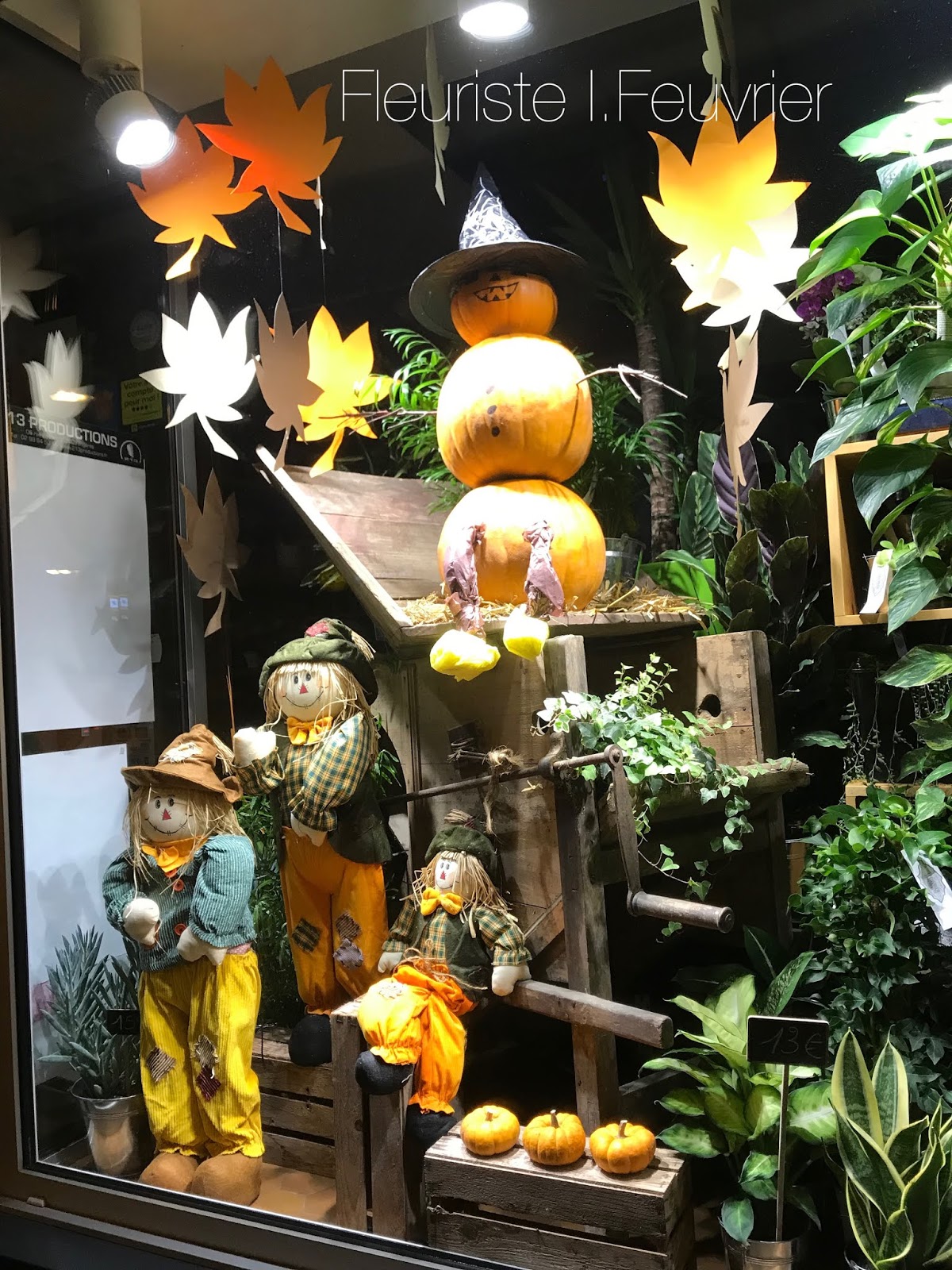 Fleuriste Isabelle Feuvrier Nos vitrines d