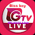 GTV Biss key
