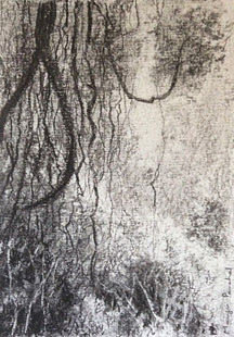 Charcoal sketching of a landscape scene from Karnala Bird Sanctuary by Manju Panchal