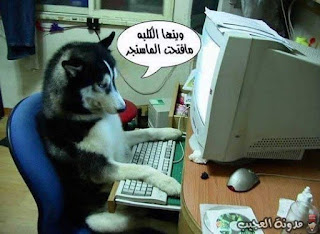 %25D8%25B5%25D9%2588%25D8%25B1%2B%25D9%2585%25D8%25B6%25D8%25AD%25D9%2583%25D8%25A9_1.jpg