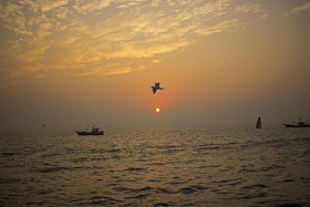 skywatch, dawn, sunrise, bird, arabian sea, fishing boats, sassoon docks, mumbai, incredible india