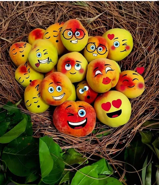 Funny Mango Emoji