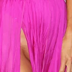 Descuido De Paris Hilton Sin Ropa Interior En Su Propia Fiesta De Cumpleaños. Foto 3