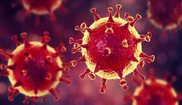 10 VIRUS PALING MEMATIKAN DI DUNIA