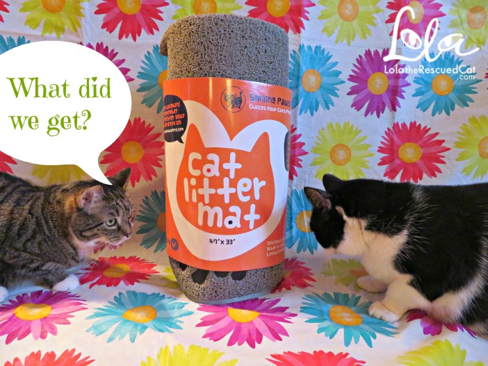 Smiling Paws Pets' Litter Mat Is Your Answer To A Messy Litterbox Area