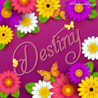 imagenes con nombre destiny