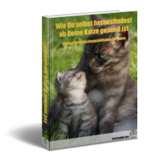 Parallel Film Netz Der Moglichkeiten