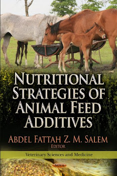 Nutritional Strategies of Animal Feed Additive