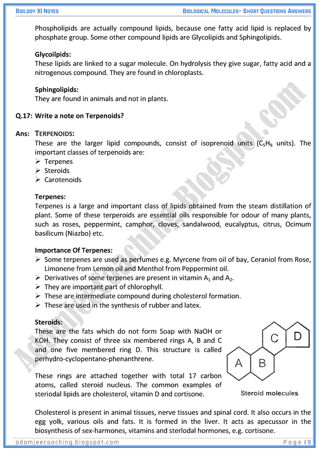 Adamjee Coaching Biological Molecules Short Question Answers