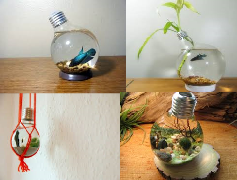 T Ps Tr K Un K Cara Membuat Aquarium Mini Dari Bohlam