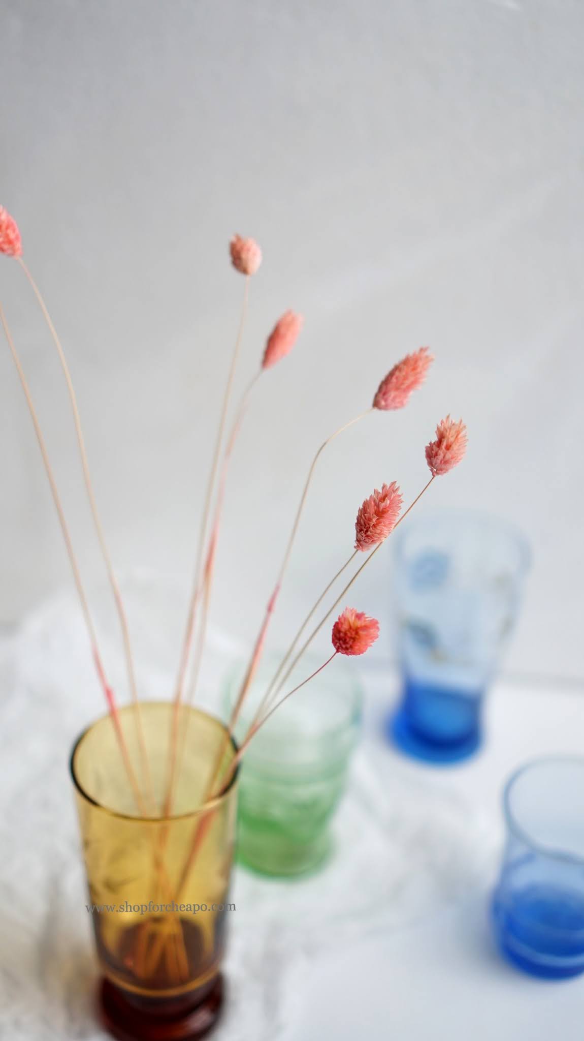 bunga kering phalaris pink di dalam vas gelas