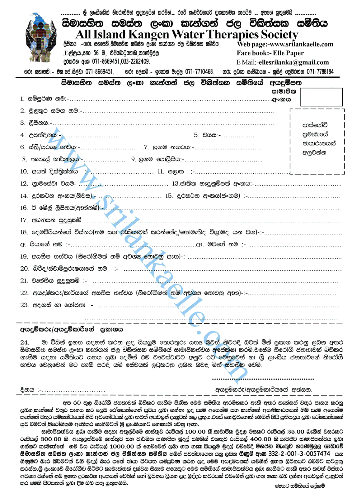 kangen water therapy