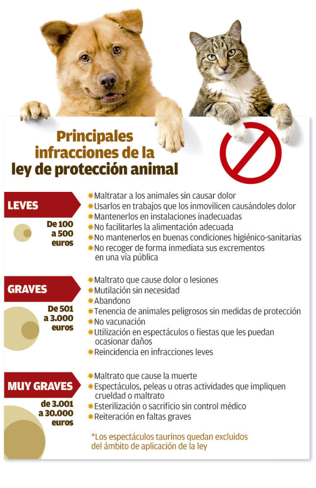 Medio Ambiente y Animales Excremento de mascotas invade calles de Tacna