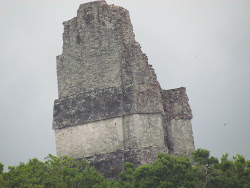 Temple 4 -- Highest Point in Tikal