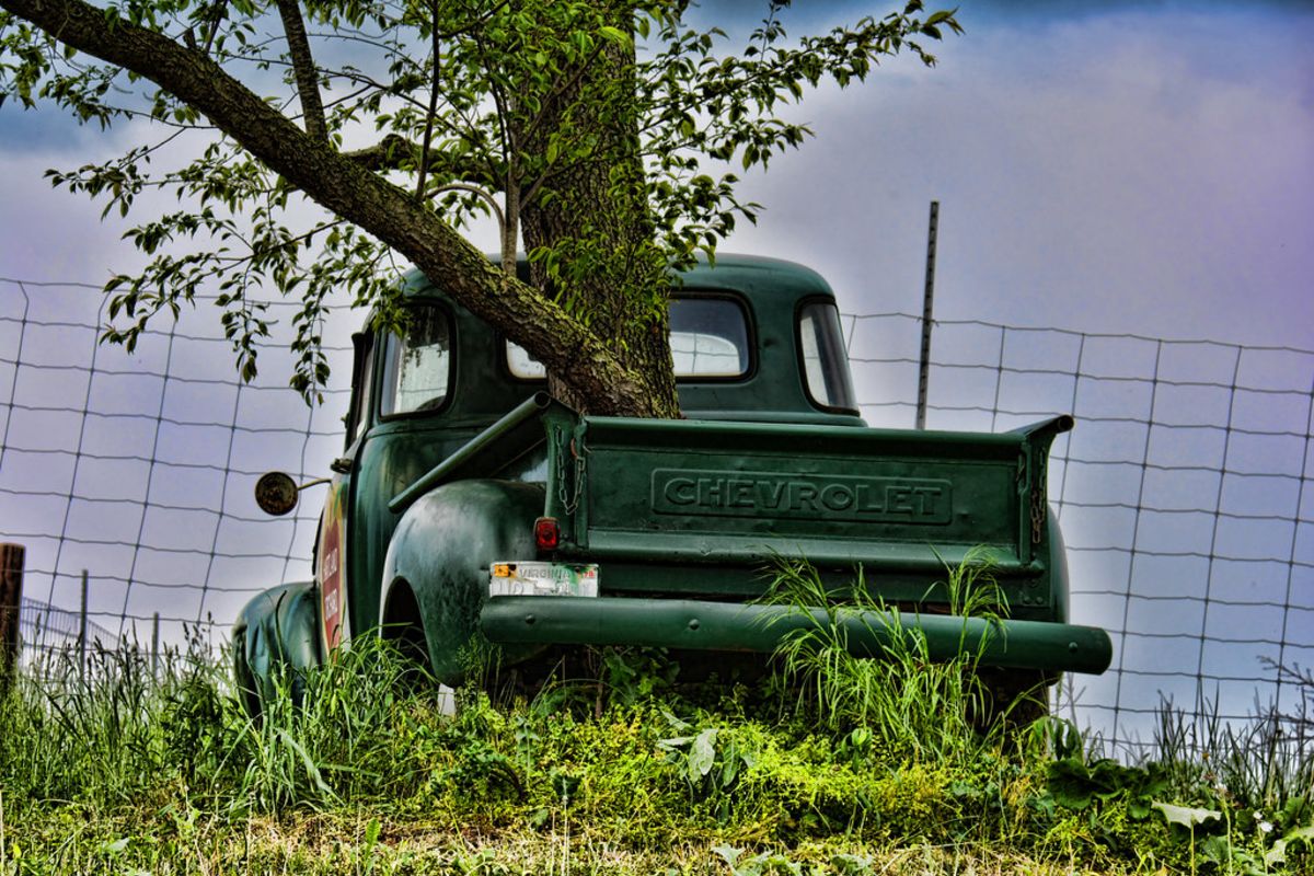 22 Amazing Photographs of Trees Growing Through Classic 22 Amazing Photographs of Trees Growing Through Classic