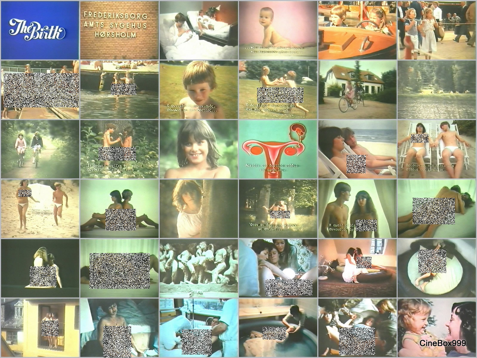 RareFilmFinder: The Birth. 