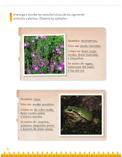 Apoyo Primaria Exploración de la Naturaleza y la Sociedad 1er grado Bloque 2 lección 3 Semejanzas y diferencias entre plantas y animales