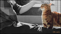 Art Cat GIF • Cinemagraph • Woman scratching Ginger  tabby Cat's head