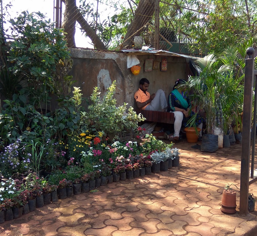 Mumbai daily At the nursery