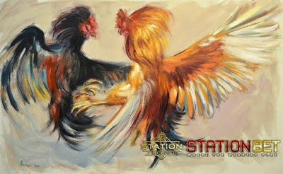 Adu Ayam Online